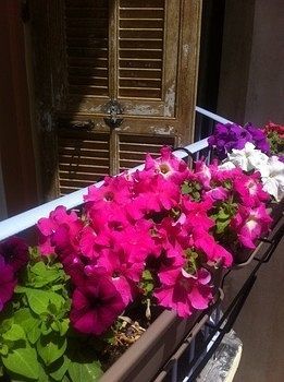 Hostel Altea ニース エクステリア 写真